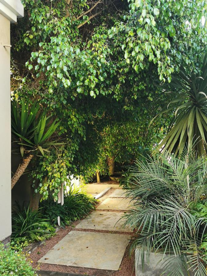 Ferienwohnung Mulberry Gardens Self Catering Swakopmund Exterior foto